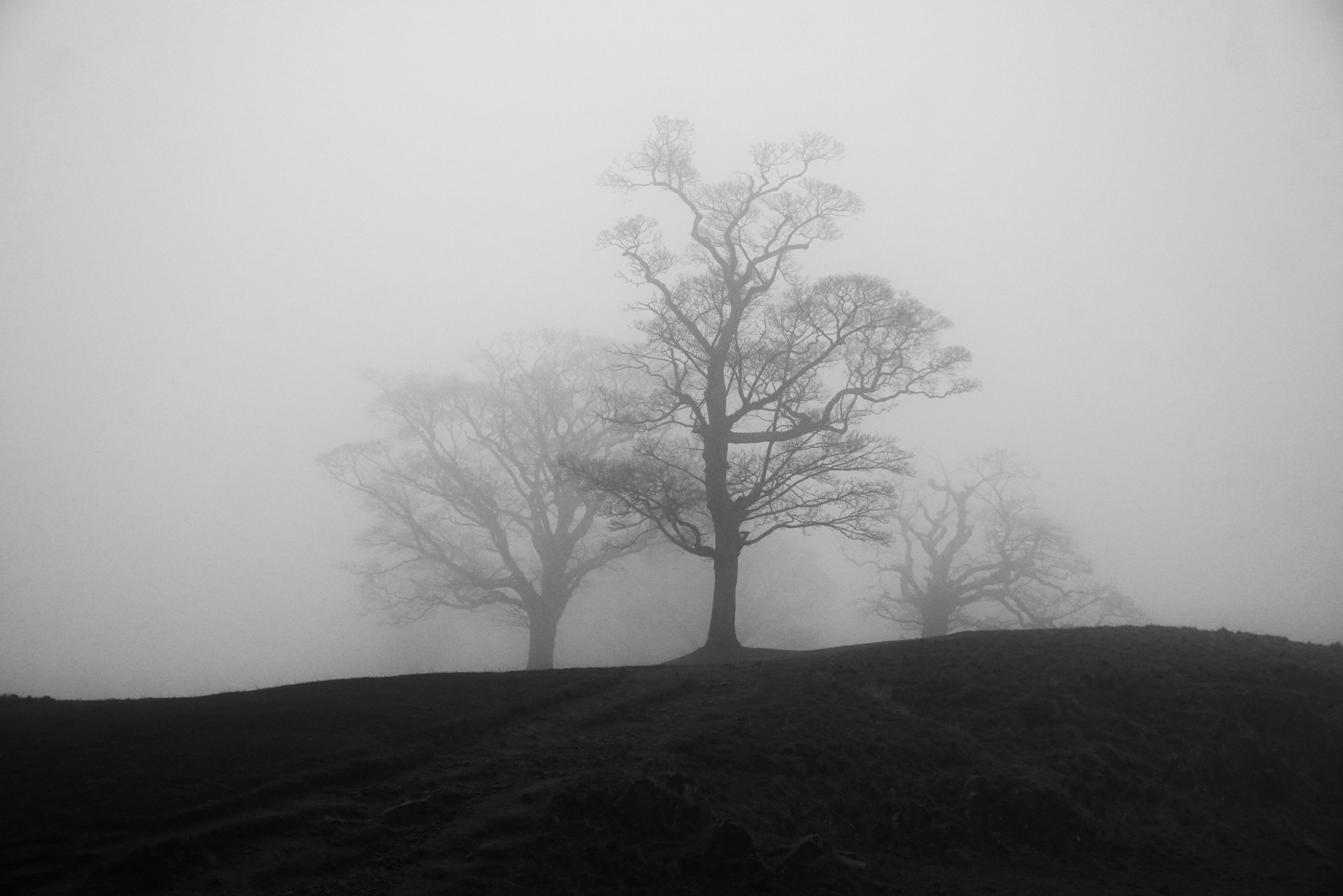 Where the Silence Lives