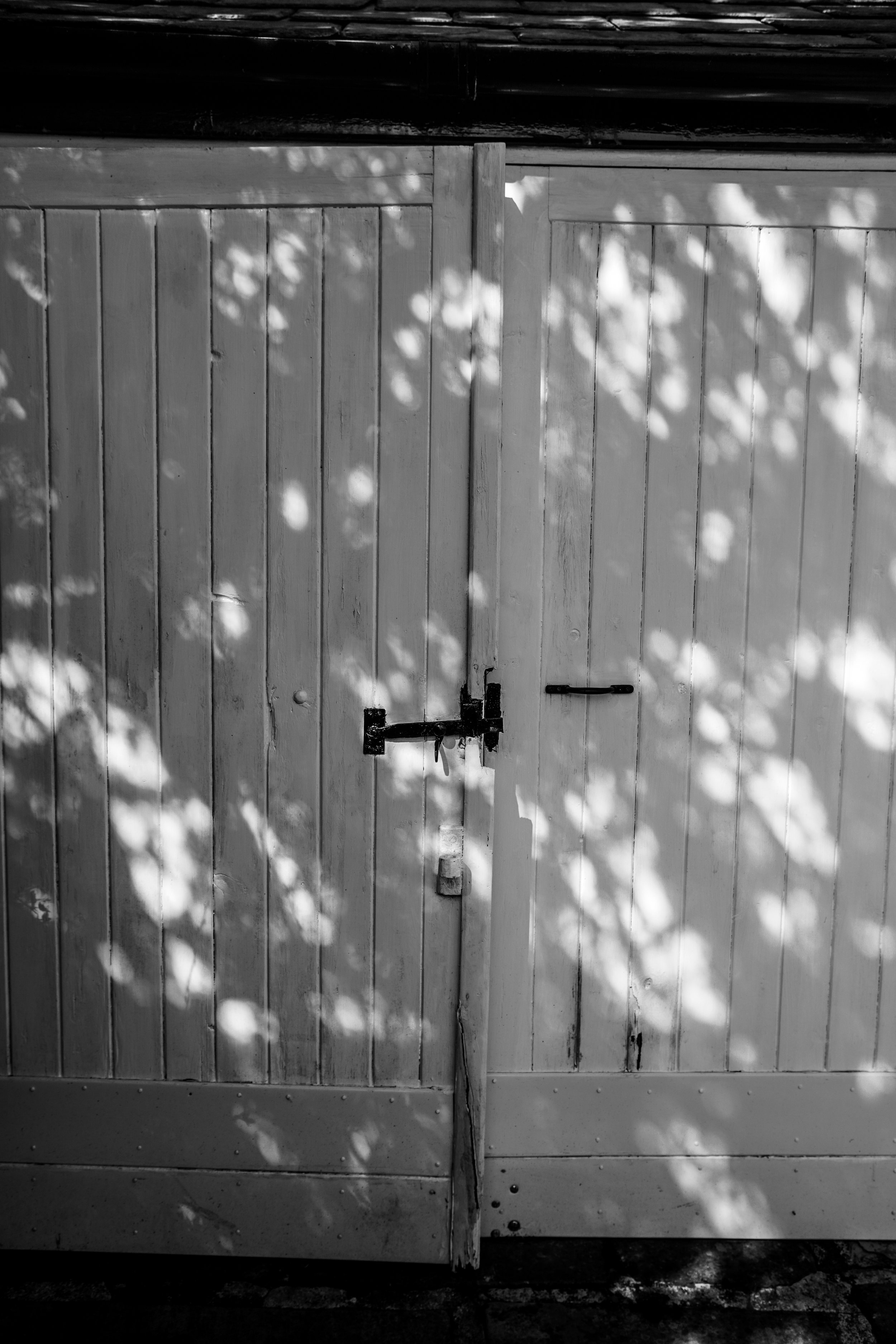 Where the Silence Lives 10