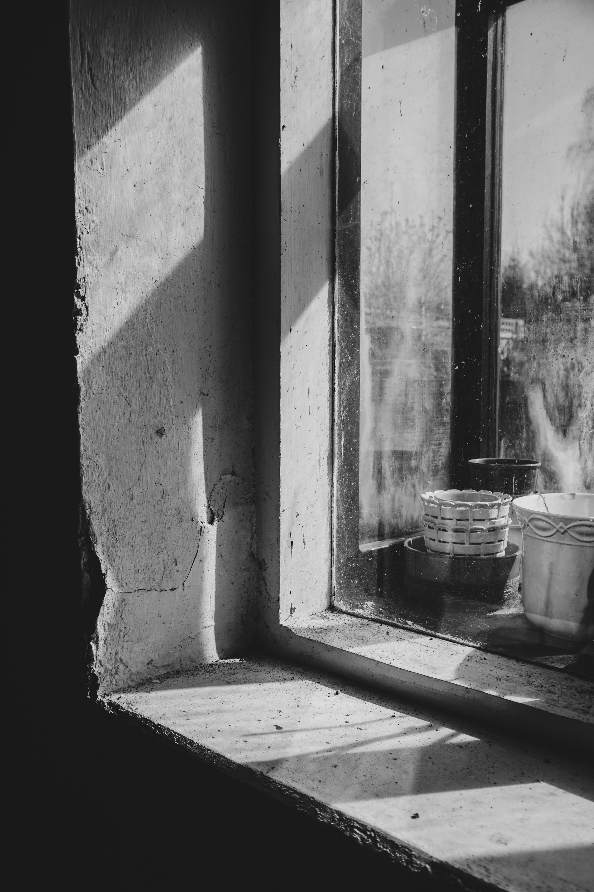 Where the Silence Lives 11