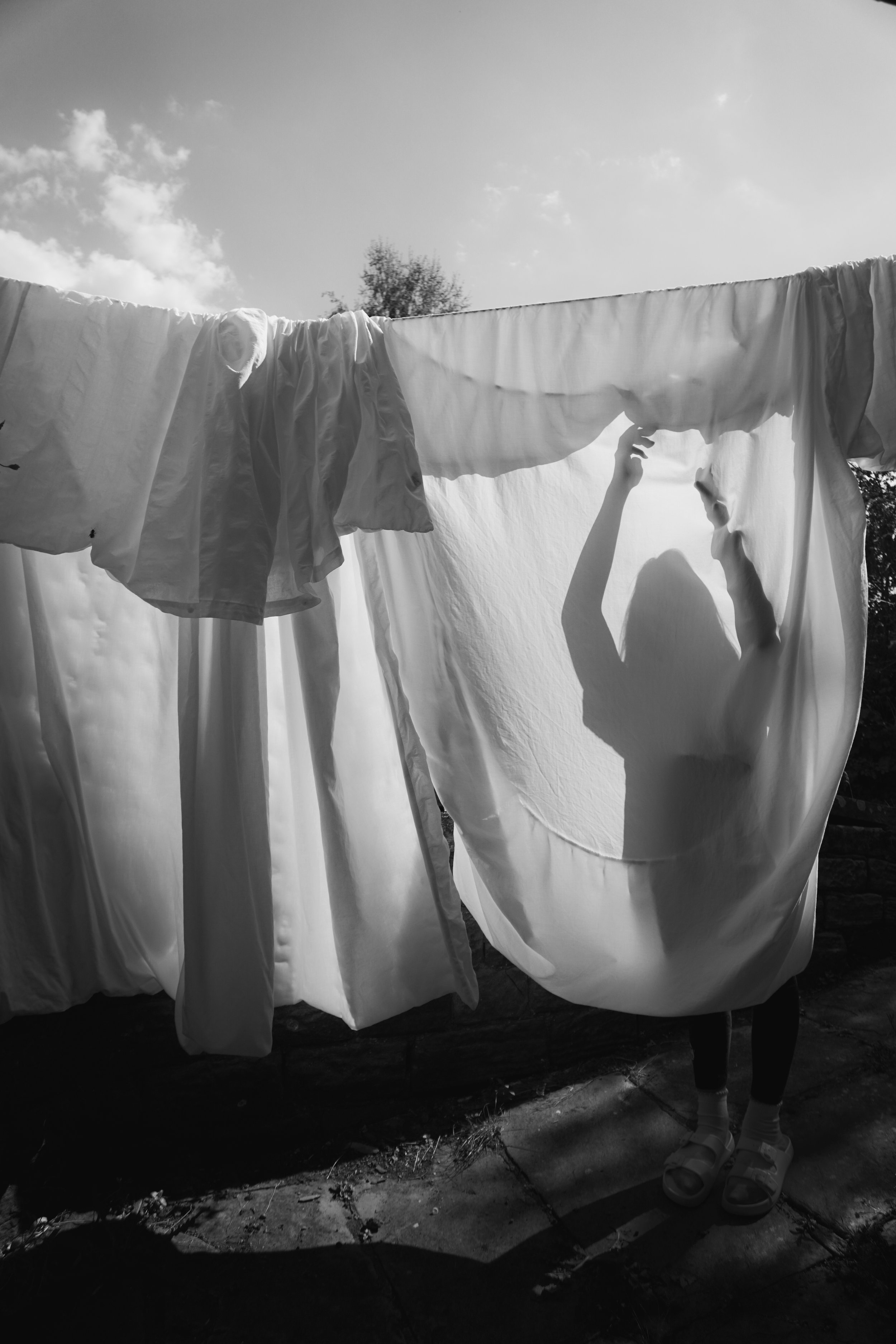 Where the Silence Lives 17