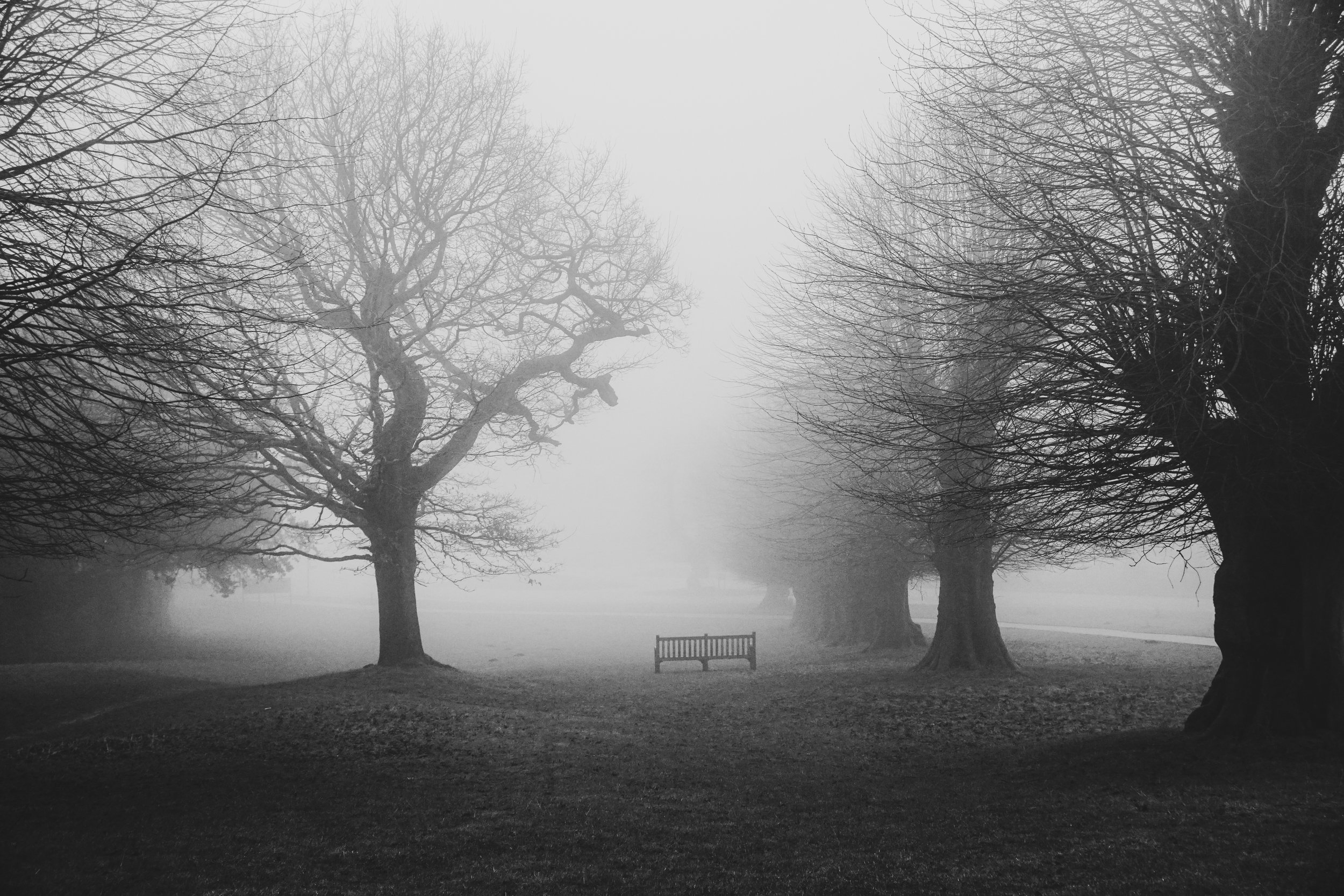 Where the Silence Lives 27