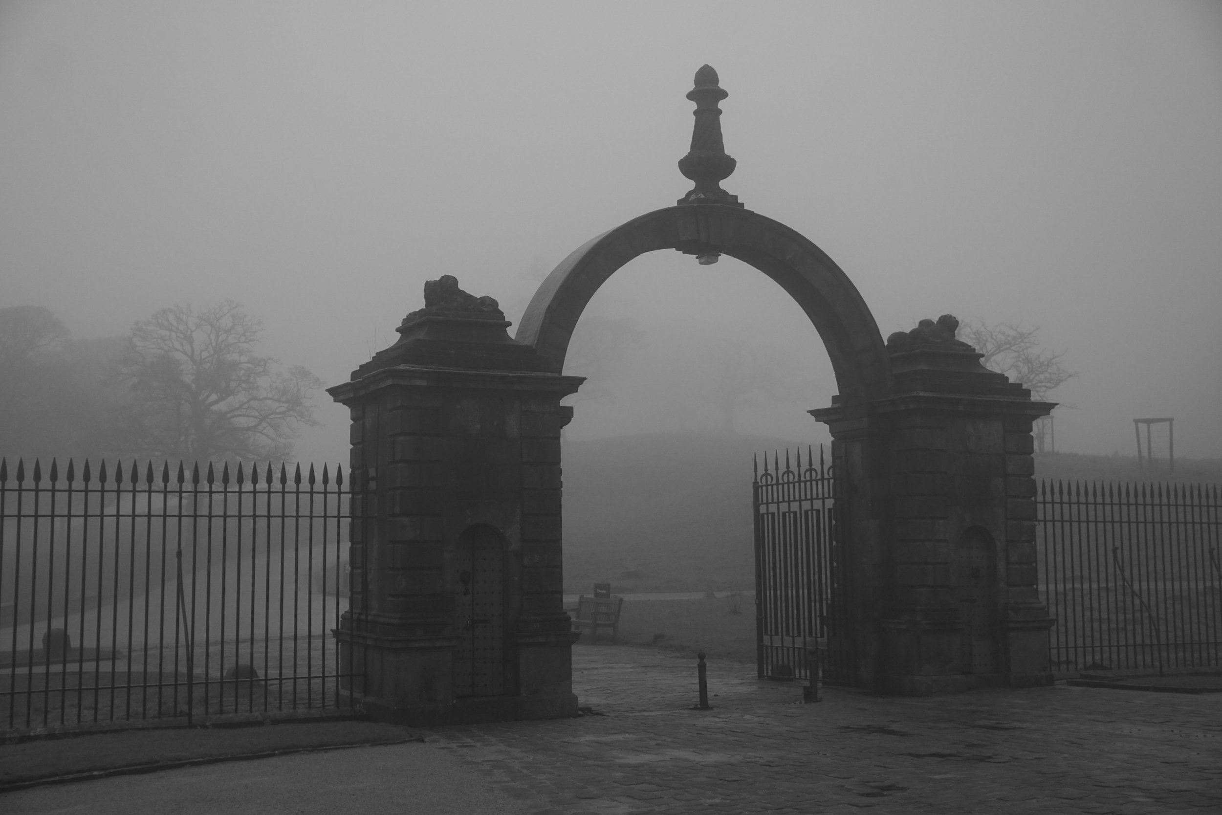 Where the Silence Lives 2