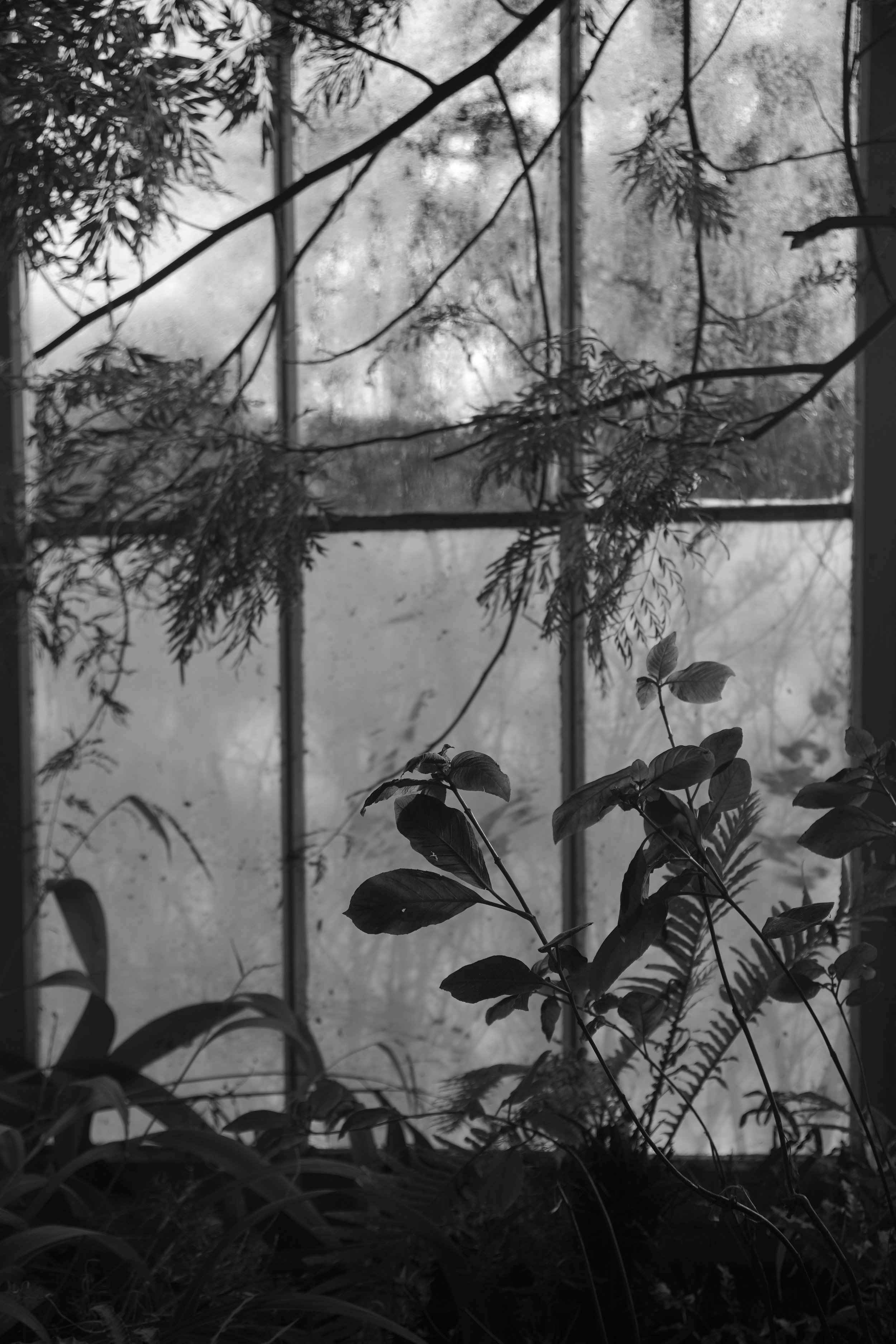 Where the Silence Lives 8